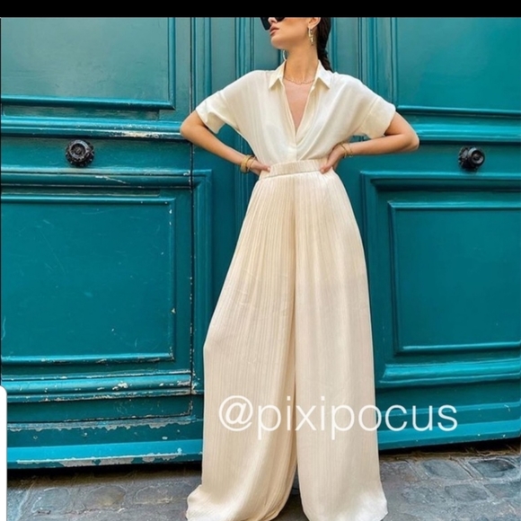 Zara Palazzo Pleated Pants - Vanilla - Picture 3 of 11